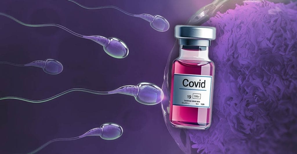 (STUDY) Covid vaccines may reduce women’s lifelong egg supply